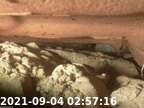 20210904025704-00