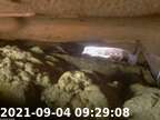 20210904092856-05