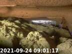 0210924090106-02