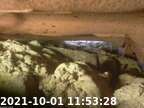 0211001115306-04