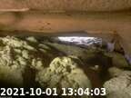 0211001130348-01