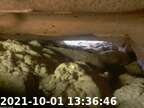 0211001133622-00