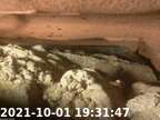0211001193124-04