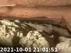 0211001210131-01