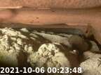 0211006002239-02