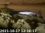 211017121536-05