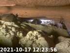 211017122345-05