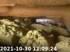 0211030120905-00