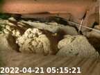 0220421051506-01