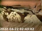 0220422024243-00
