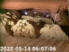 20220514060655-01