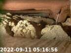 20220911051608-03