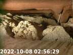 0221008025543-01