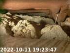 0221011192327-00