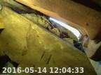 0160514120353-01