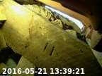 0160521133904-01