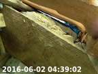 0160602043758-01