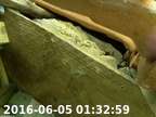 0160605013237-00