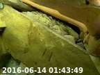 20160614014334-01