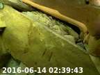 20160614023920-00