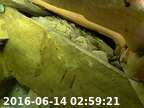 20160614025846-01