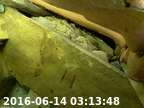 20160614031333-00