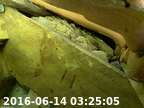 20160614032428-03