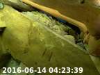 20160614042323-03