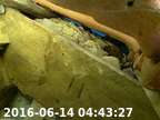 20160614044258-01