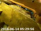20160614052940-02