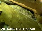 20160616015331-00