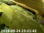 160924232115-03