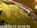 0161014165616-02