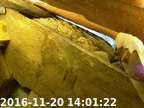 0161120140056-02