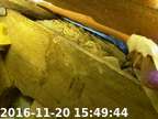 0161120154917-00
