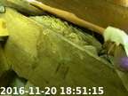 0161120185035-03