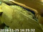 0161125162445-01