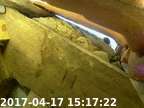 70417151529-01