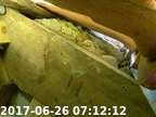 170626071144-02