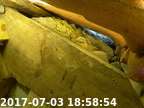 170703185834-00