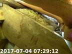 170704072824-01