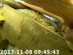 0171108094522-01