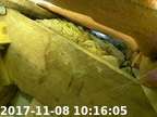 0171108101545-01