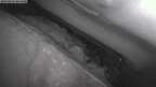 31031252fe72e7